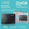 BlackCopper BC-SSD256 256GB 2.5" SATA SSD