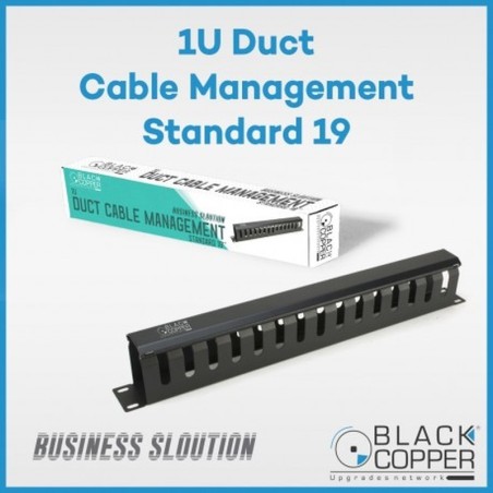 BlackCopper BCCBLMNGR1U 1U Metal Cable Manager, 19"