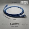 BlackCopper BCCT6PC-1MTR-BL Cat6 UTP Patch Cord, 1m, Blue